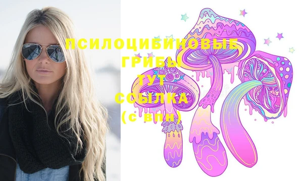MDMA Медногорск