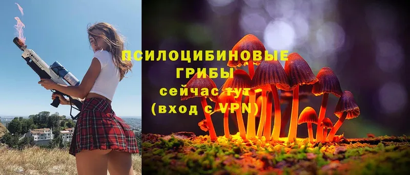 Псилоцибиновые грибы ЛСД  где можно купить   Ермолино 